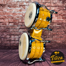 Bongo RS en Guayacán Natural